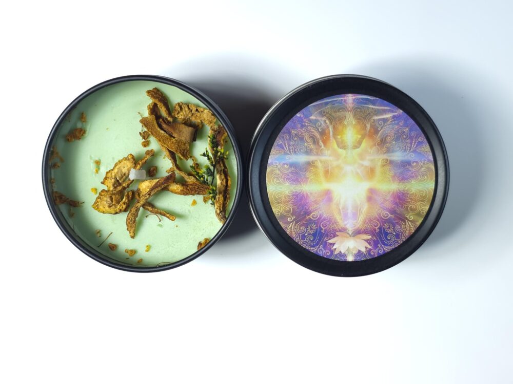 Beginner Candle Plus
