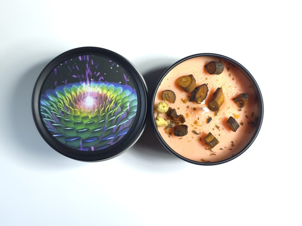 Beginner Candle Plus
