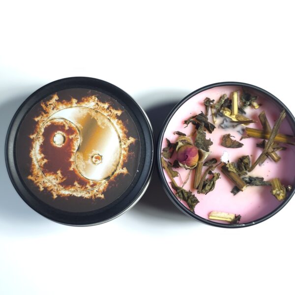 Beginner Candle Plus